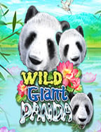 วิธีถอน sbobet ให้รวดเร็ว ง่ายดาย ไม่ยุ่งยาก